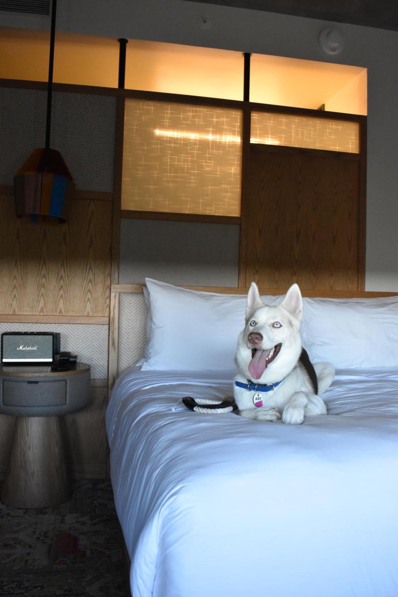 Aloft Tulum Hotel Kültér fotó